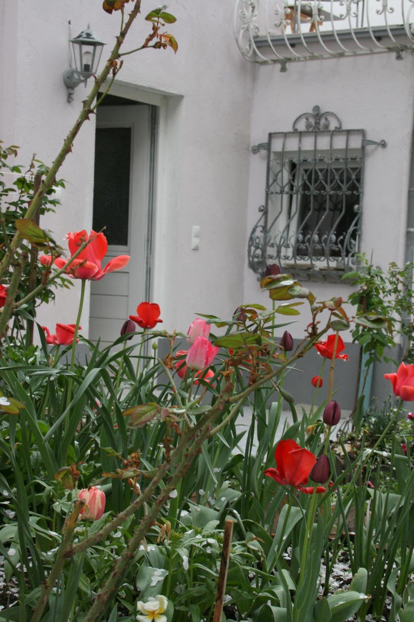 Appertment Im Garten Apartment Worms Exterior foto