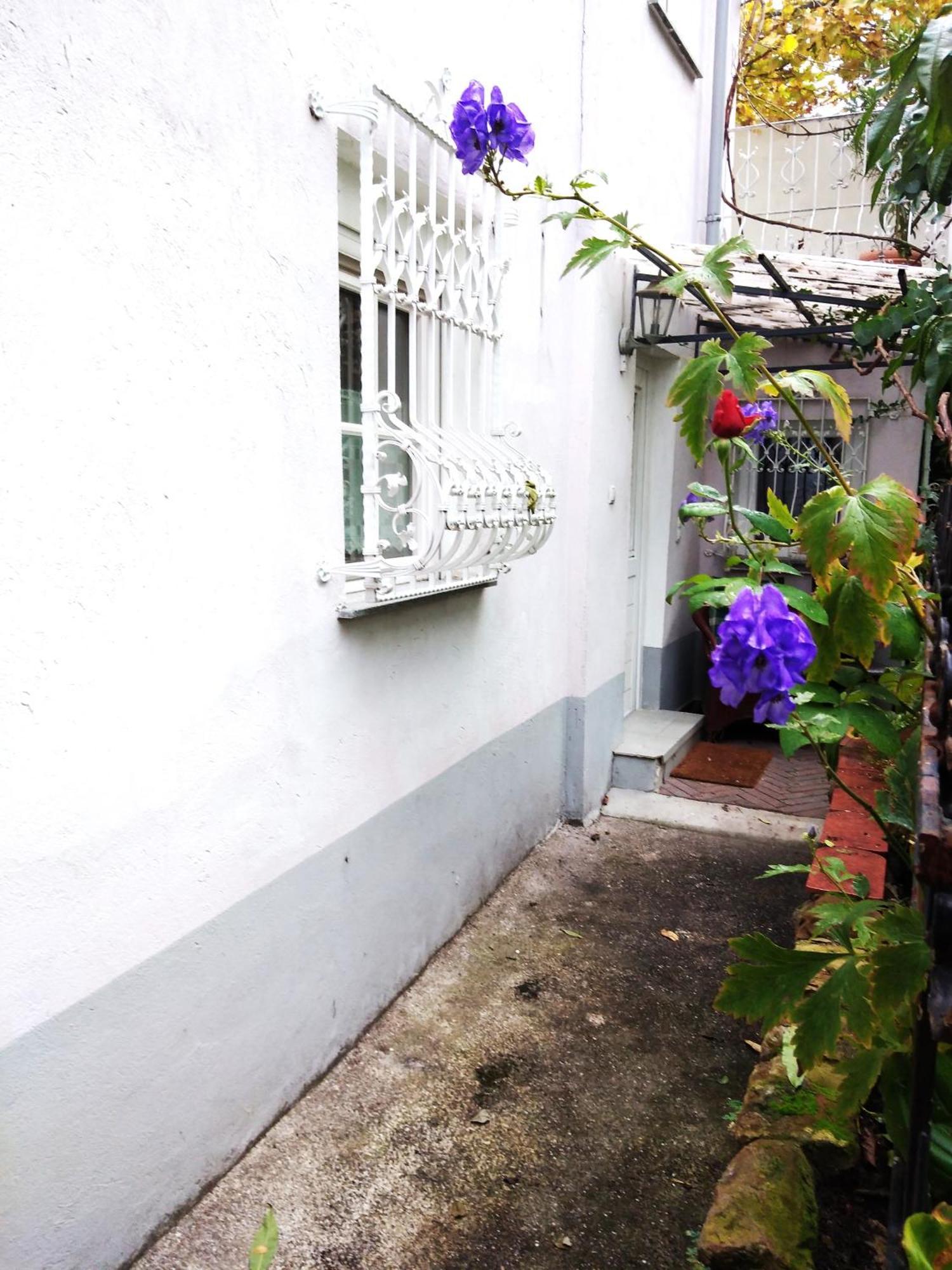 Appertment Im Garten Apartment Worms Exterior foto